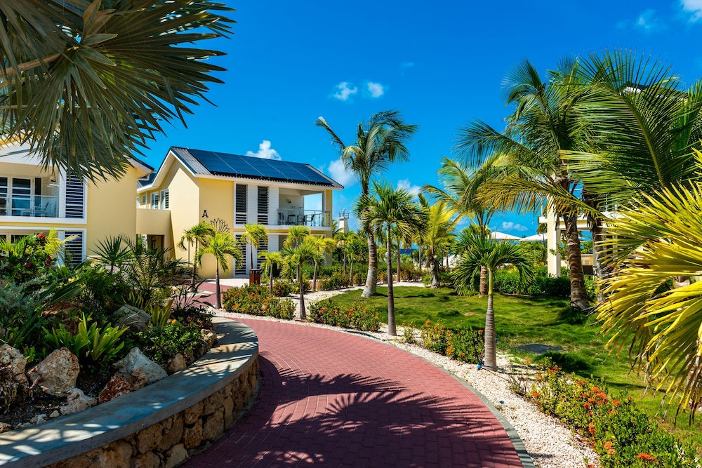 delfins beach resort bonaire tapestry collection by hilton