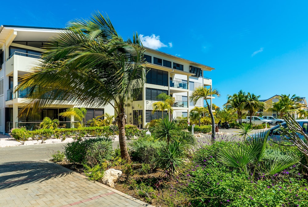 delfins beach resort bonaire tapestry collection by hilton