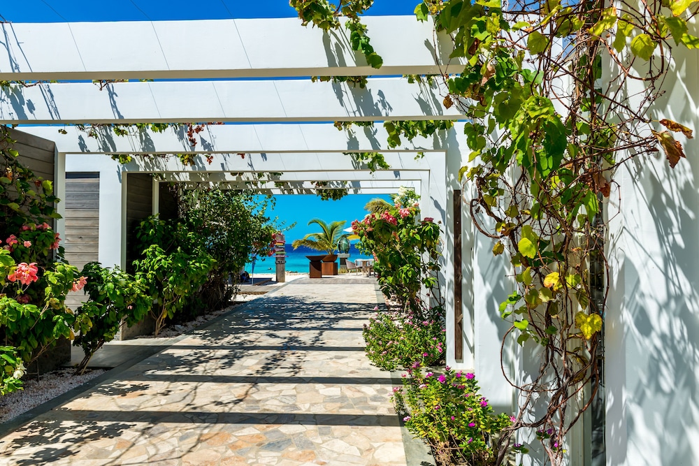 delfins beach resort bonaire tapestry collection by hilton