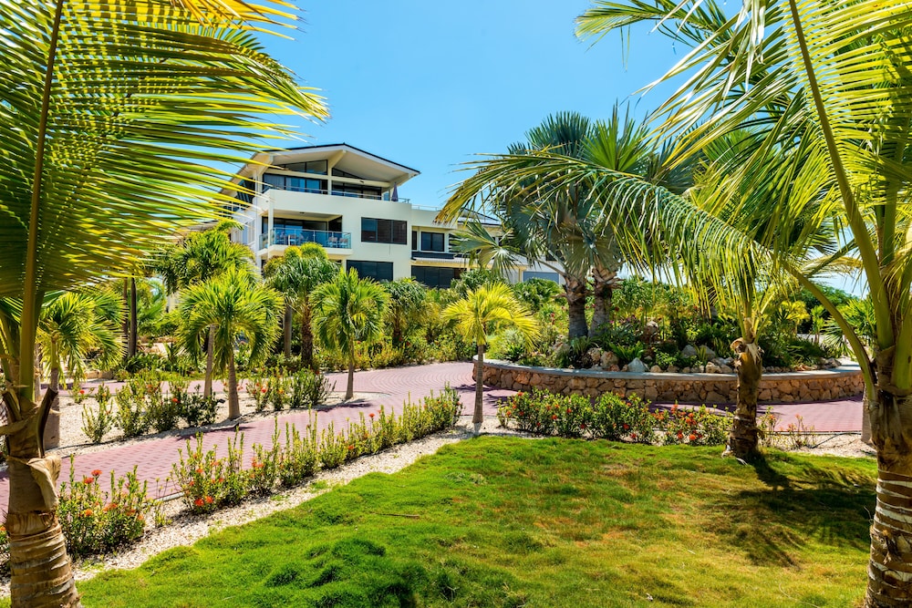 delfins beach resort bonaire tapestry collection by hilton