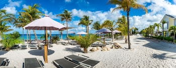 delfins beach resort bonaire tapestry collection by hilton
