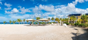 delfins beach resort bonaire tapestry collection by hilton