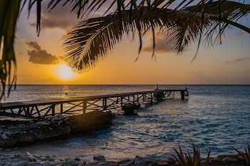 delfins beach resort bonaire tapestry collection by hilton