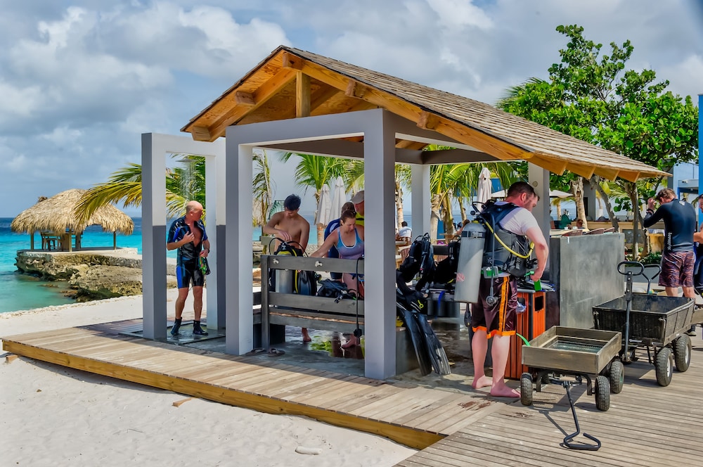 delfins beach resort bonaire tapestry collection by hilton
