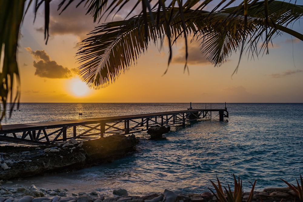 delfins beach resort bonaire tapestry collection by hilton
