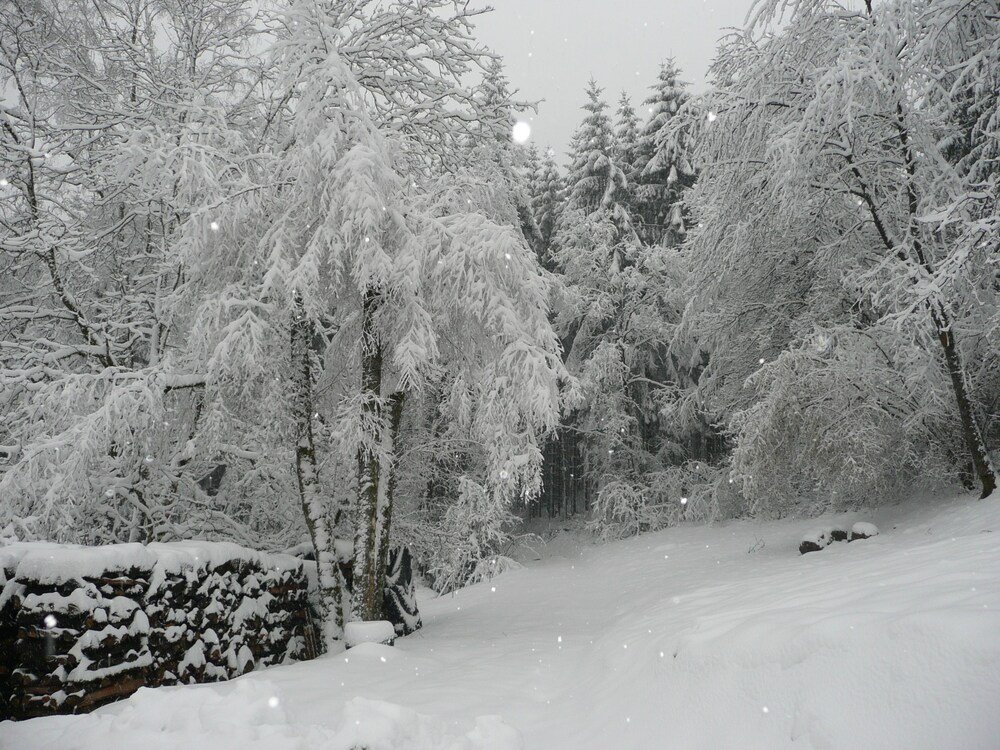 raon aux bois