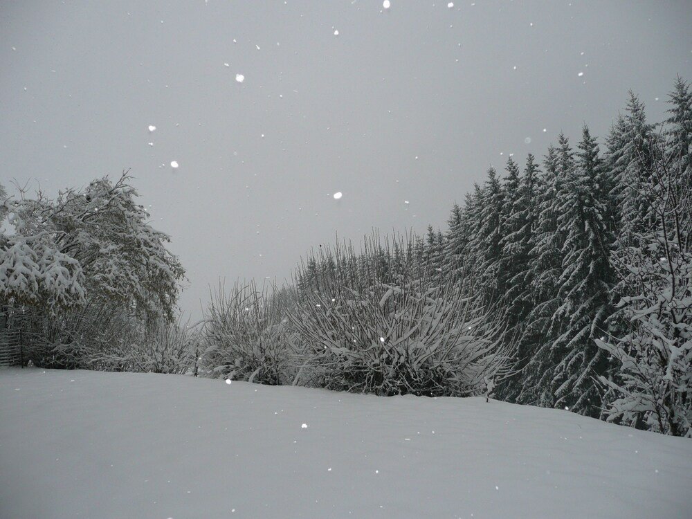 raon aux bois