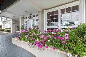 Ibis Styles Albany,Lockyer>>Albany,4 star