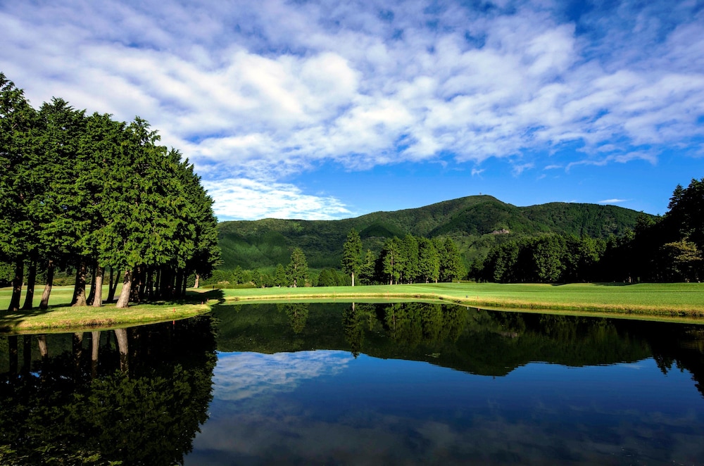 hakone sengokuhara prince hotel