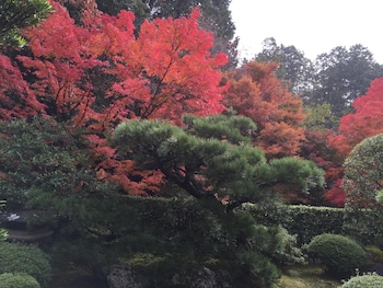 ryokan yamazaki