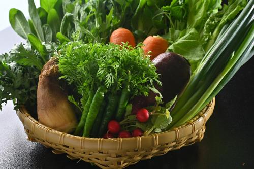 kyoto watazen ryokan