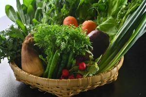 kyoto watazen ryokan