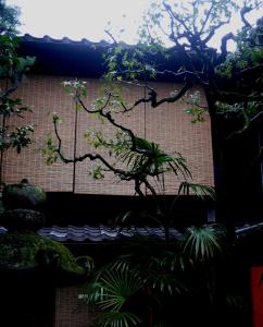 kyoto