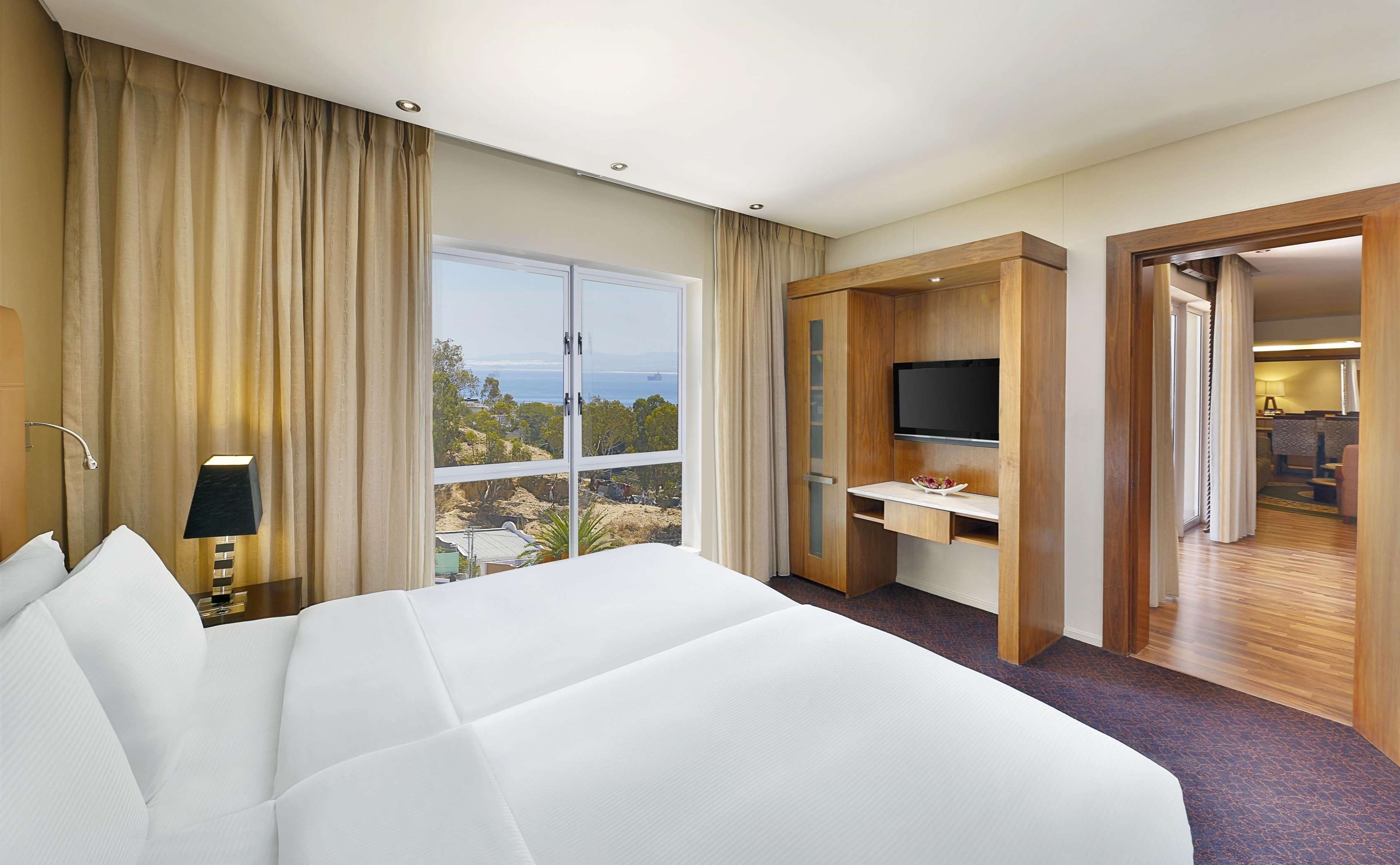 hyatt regency cape town