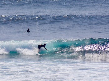 the palms ceningan hotel