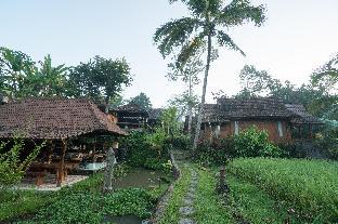 Song Broek Jungle Resort,Near Pod Origin,3 star