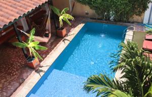 Cacao Hostel Santa Marta,Comuna 4>>Santa Marta,3 star