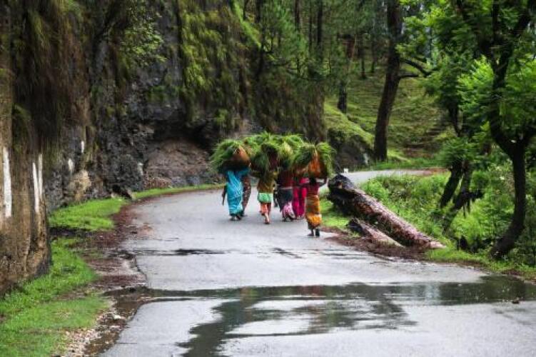 almora