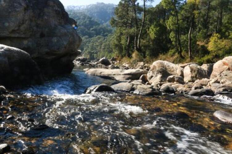 almora