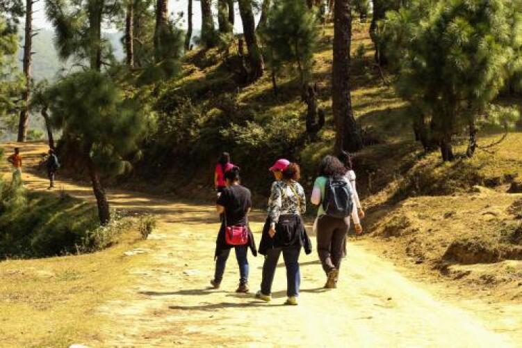 almora