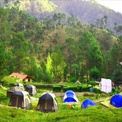 almora