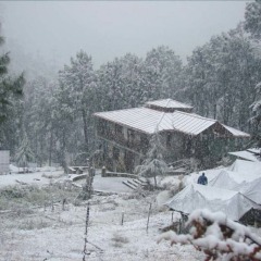 almora
