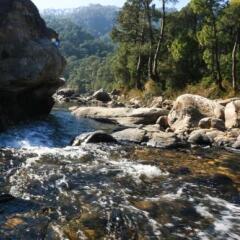 almora