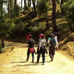 almora