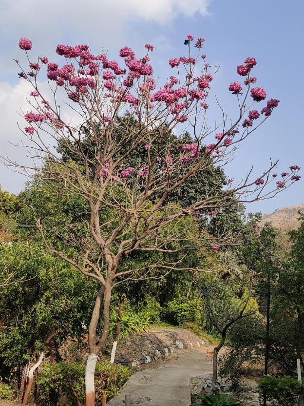 chhatrapati sambhajinagar