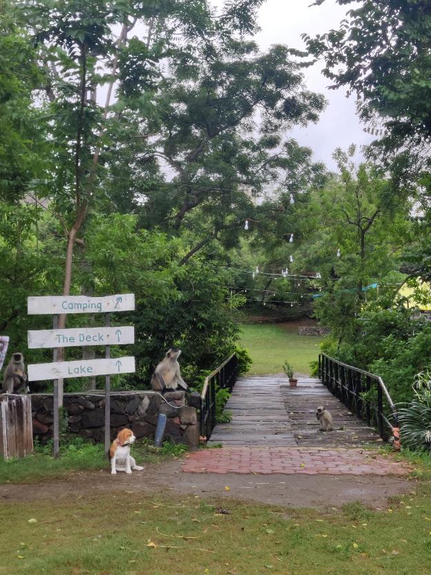 chhatrapati sambhajinagar