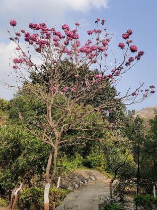 chhatrapati sambhajinagar