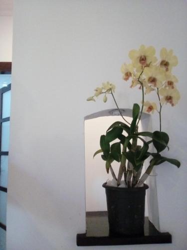 marari umapathi beach villa