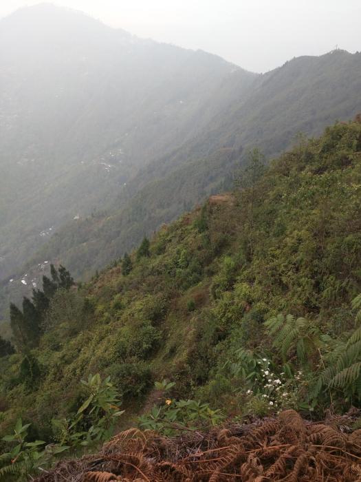 kalimpong