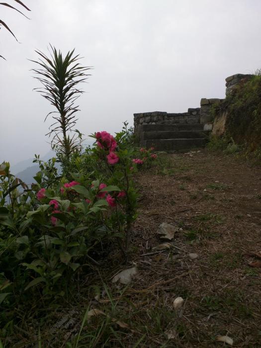 kalimpong