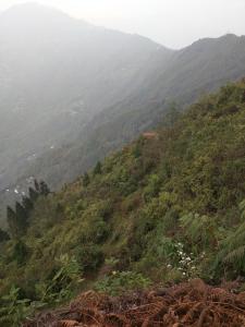 kalimpong
