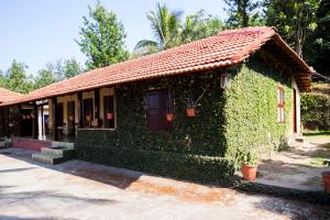 Marmalade Springs Resort Wayanad,Kolagappara>>Kalpetta,4 star