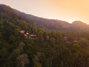 Marmalade Springs Resort Wayanad,Kolagappara>>Kalpetta,4 star