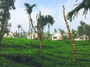 Tea Terrace Vythiri Resort