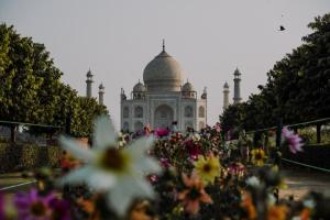 moustache agra