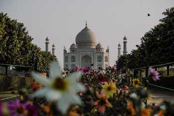 moustache agra