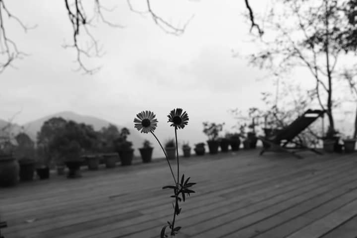 nainital