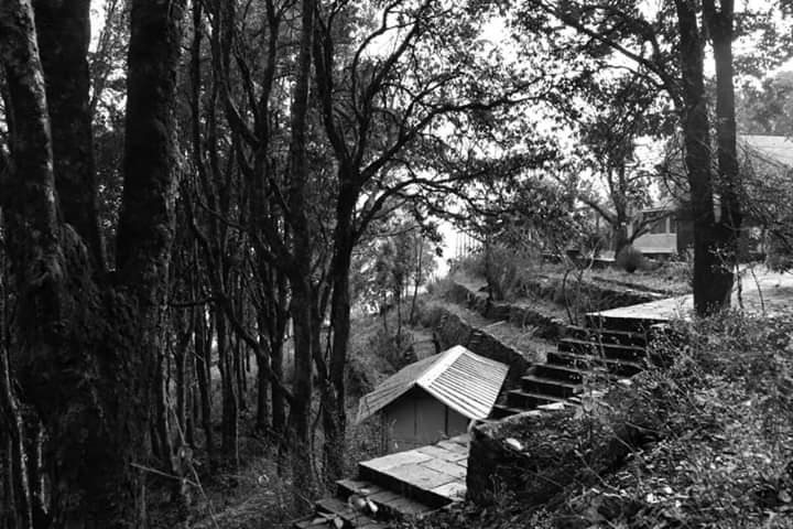 nainital