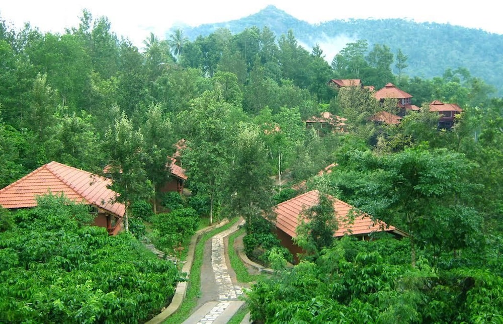 wayanad