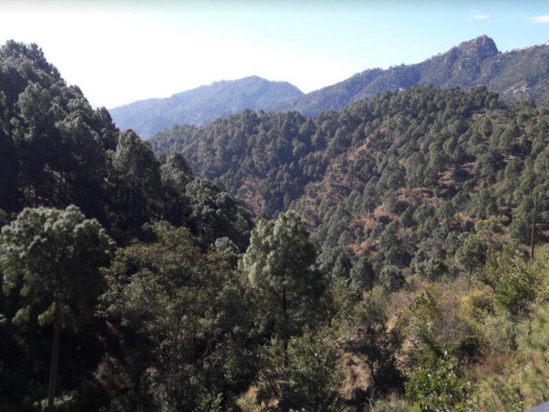 kasauli