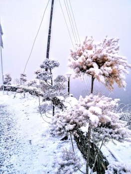 nainital