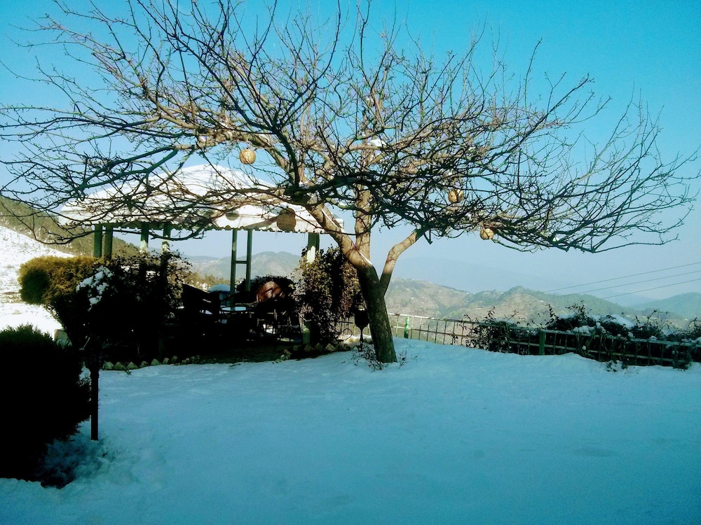 nainital