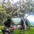 nainital