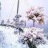 nainital