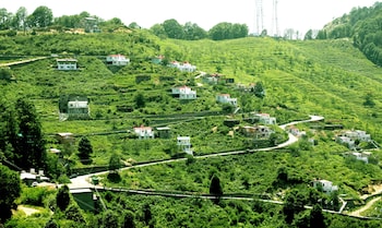 nainital