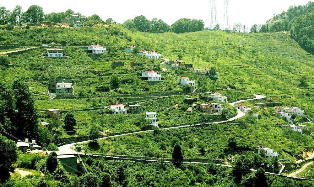 nainital